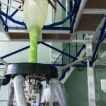 خط تولید فیلم دمشی رنگی